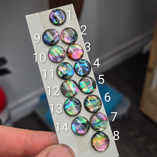 nacre au reflet des aurore ou dun coucher de soleil dans les caraibes